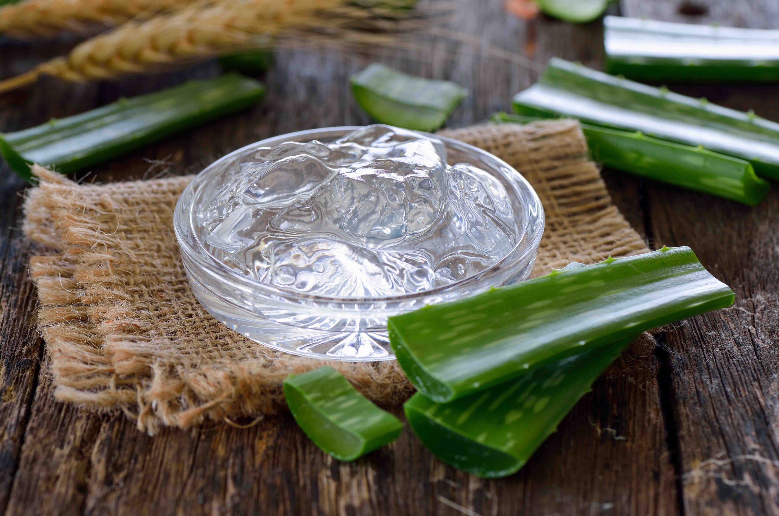 Uses and Benefits of Aloe Vera for Skin, Hair, and Health