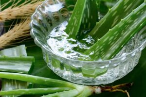 Uses of aloe vera for hair, 