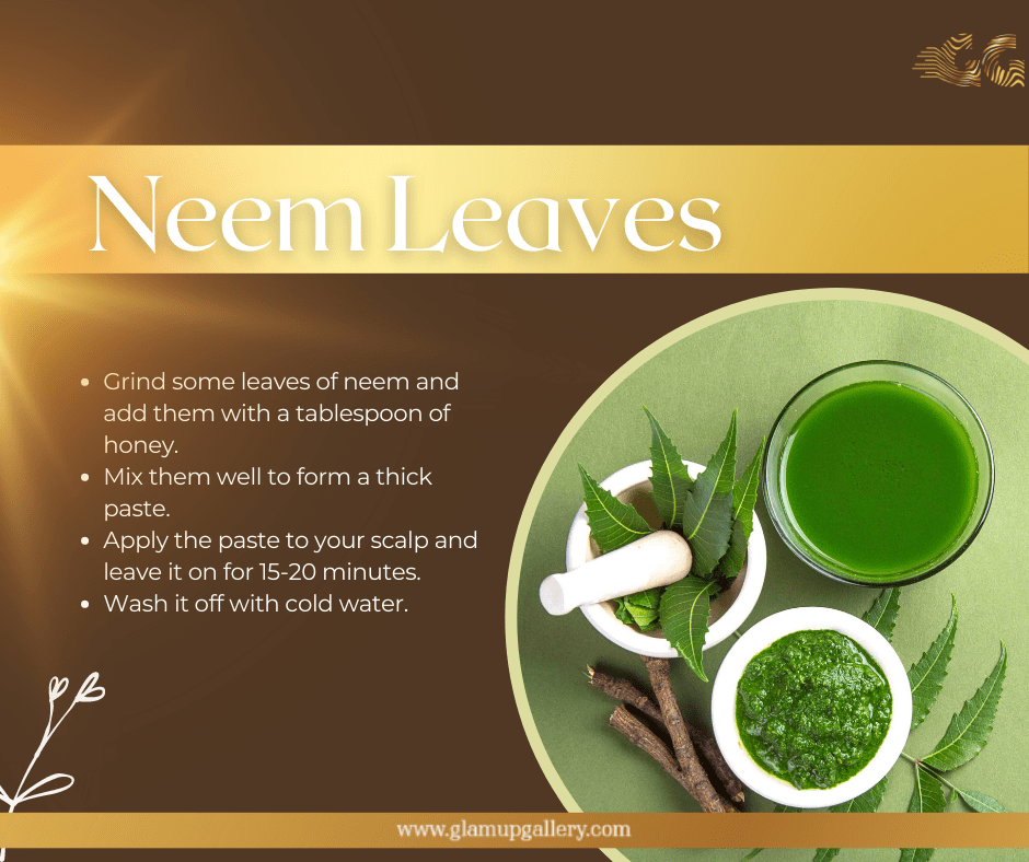 Neem leaves for itchy scalp,