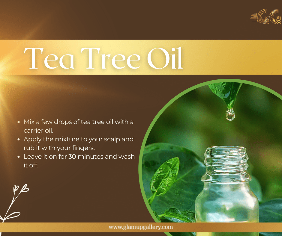 Tea tree oil for dandruff control, 